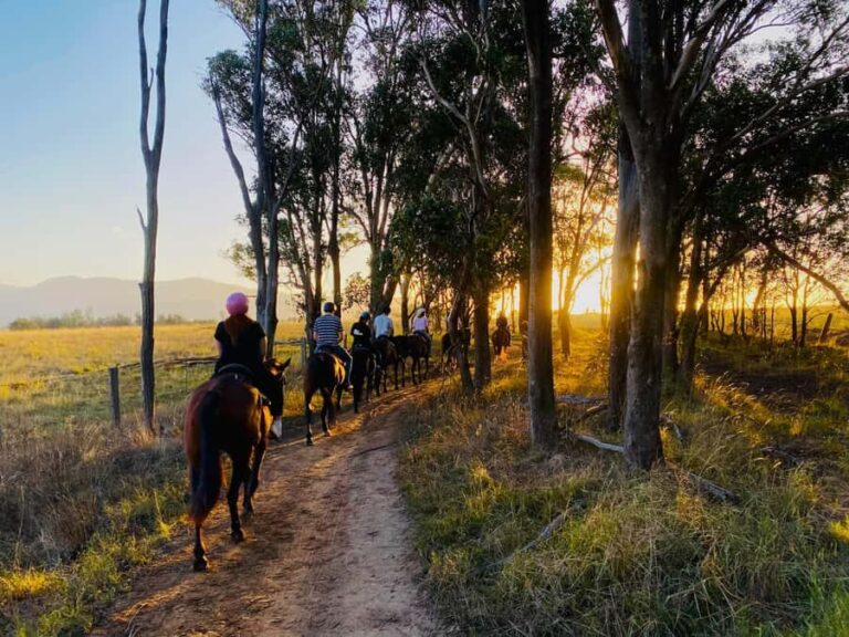 Hunter Valley: Sunset Horse Riding Tour 90min - The Ride Experience: Details and Atmosphere