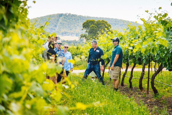 Hunter Valley Wine Tasting Tour from Sydney - The Itinerary Breakdown
