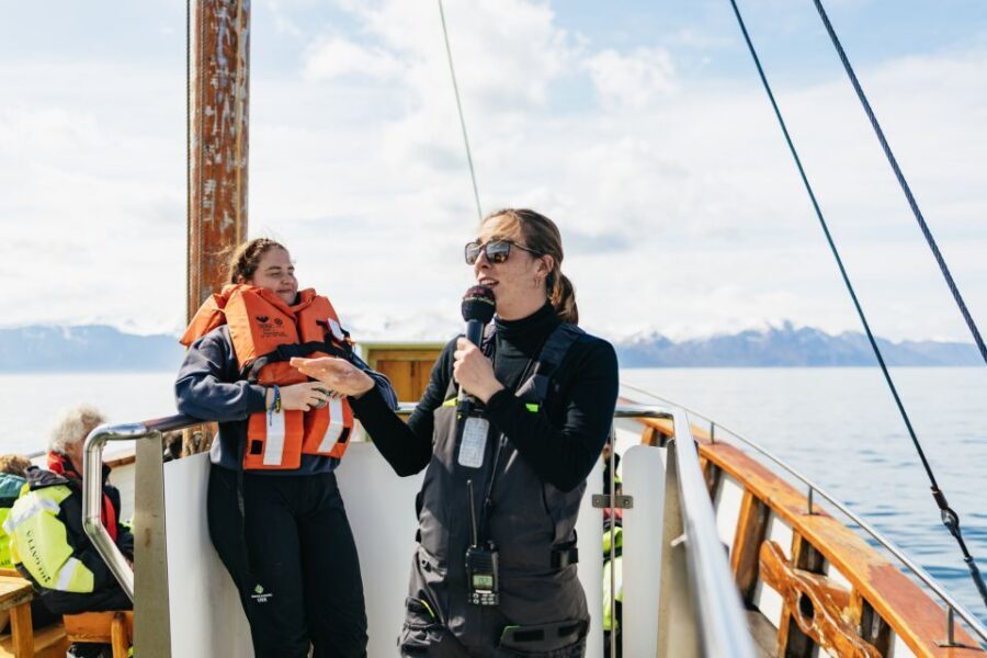 Húsavík: Whale Watching Tour with Guide - The boat experience: traditional oak, real comfort at sea