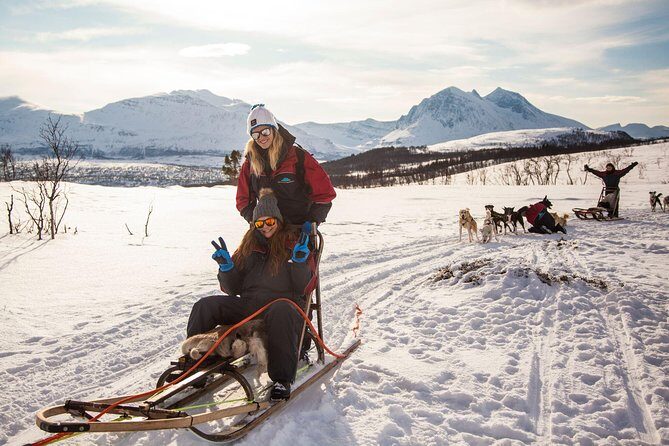 Tromso Husky Self-Drive Sledding with Cake and Drink in Lavvu - Group Size and Pacing: Why Smaller Is Better