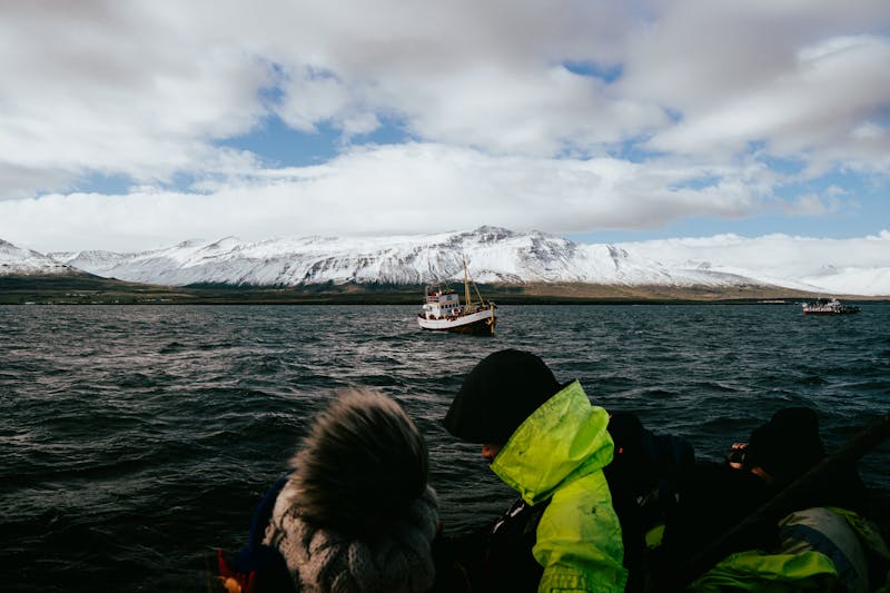Whale watching tour Iceland