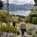 Iconic Shore Excursion: Iconic Larnach Castle Tour - Transport and Group Size: Why It Matters