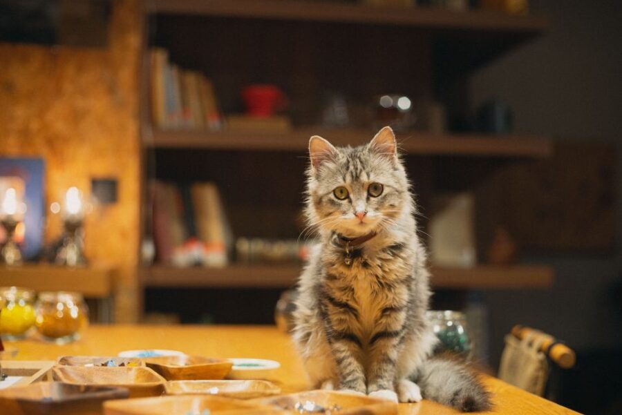 Istanbul:Original Turkish Mosaic Lamp Workshop w/ Snacks - What 2.5 hours in a mosaic lamp studio really feels like