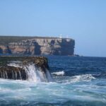 Jervis Bay: 2-Hour Cruise of Jervis Bay Passage - A Close Look at the Experience