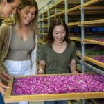 Jurlique Farm Tour - Guides and Experience Quality