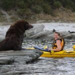 Kaikoura: Half-Day Wildlife Kayaking Tour - The Nuts and Bolts of the Tour