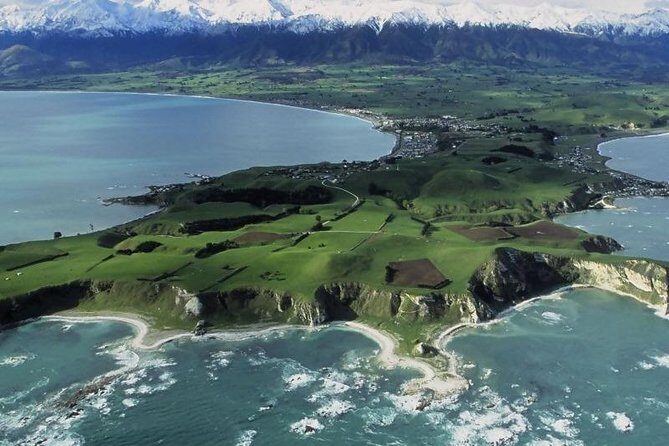 Kaikoura Swim with Dolphins Tour from Christchurch - Potential Drawbacks and Considerations