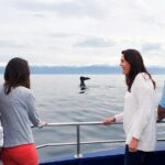 Kaikoura Whale Watch Day Tour from Christchurch - Who Should Consider This Tour?