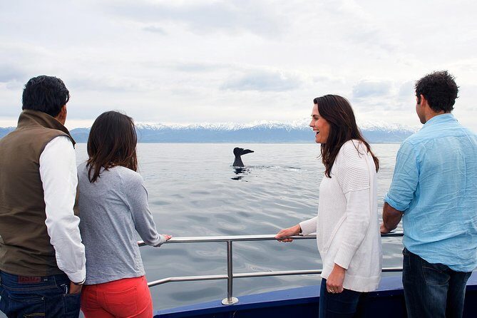 Kaikoura Whale Watch Day Tour from Christchurch - Who Should Consider This Tour?