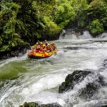 Kaituna River and Tutea Falls Whitewater Rafting - The Practical Side: What You Should Know Before Booking