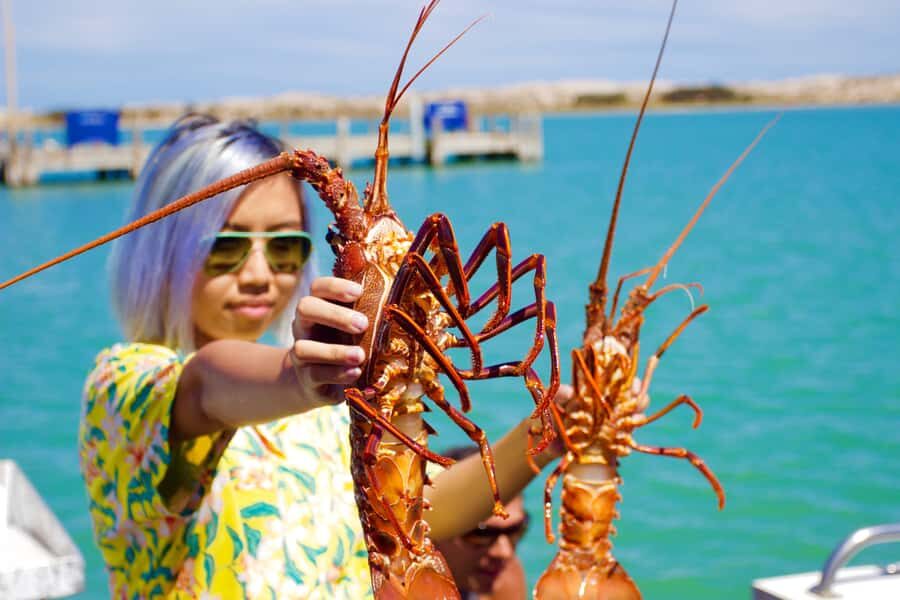 Kalbarri Crayfish Catch & Keep Tour - Weather & Clothing Advice
