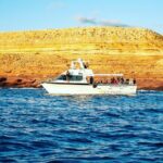 Kalbarri Sunset Cruise along the Coastal Cliffs - The Experience: What You’ll Love & What to Keep in Mind