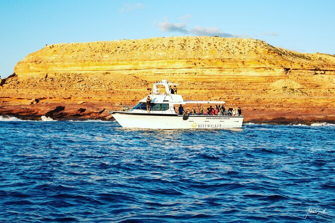 Kalbarri Sunset Cruise along the Coastal Cliffs - The Experience: What You’ll Love & What to Keep in Mind