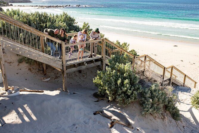 Kangaroo Island in a Day Tour from Adelaide - Deep Dive into the Itinerary