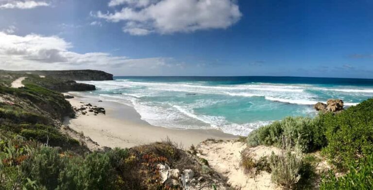 Kangaroo Island: Scenic, Nature & Wildlife Tour - The Highlights and Their Significance