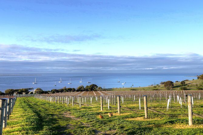 Kangaroo Island Shore Excursion Tasting Tour - For Cruise Ship Passengers Only - The Good, the Not-So-Good, and Who It’s For