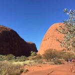 Kata Tjuta: Small Group Sunrise Tour with Picnic Breakfast - Walpa Gorge and Cultural Significance