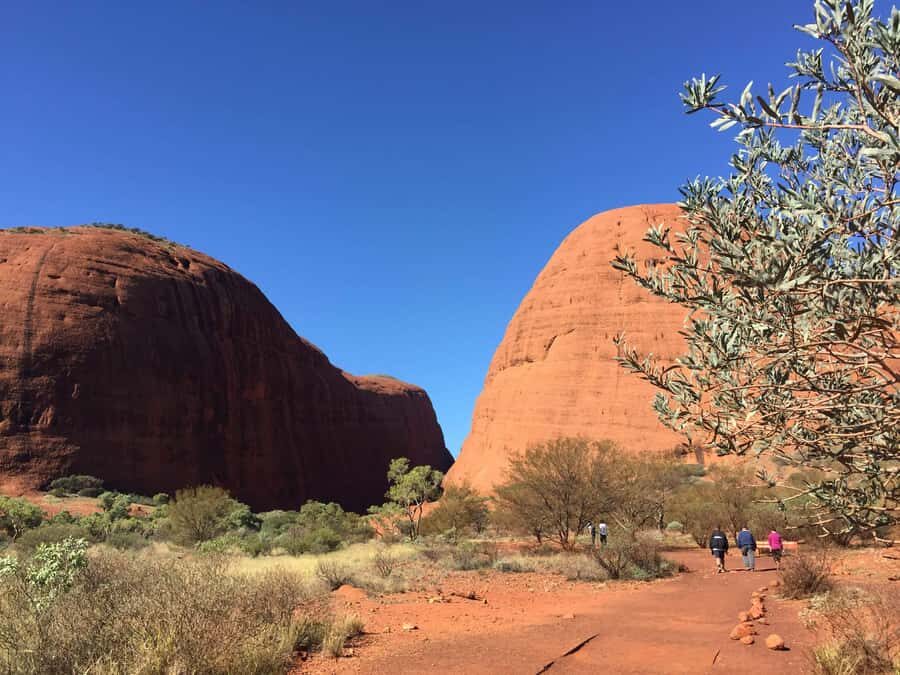 Kata Tjuta: Small Group Sunrise Tour with Picnic Breakfast - Walpa Gorge and Cultural Significance
