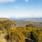 Katoomba: Lyrebird Hop-On Hop-Off and Scenic World Pass - Why You Might Want to Book This Tour