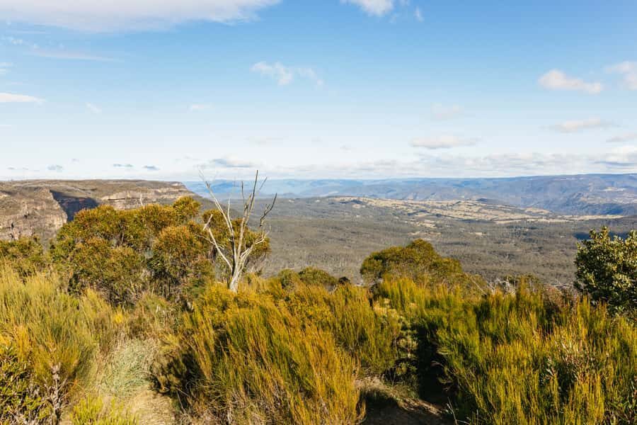 Katoomba: Lyrebird Hop-On Hop-Off and Scenic World Pass - Why You Might Want to Book This Tour