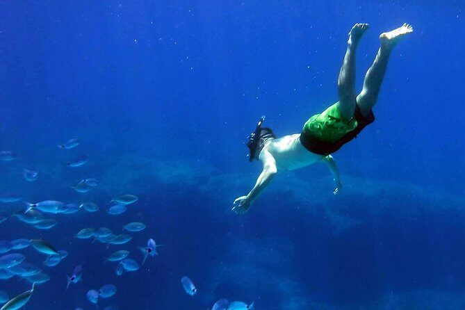 Kayak Gozo and Comino Guided Kayak Adventure - Crossing the Gozo Channel to Comino (Without Guessing)