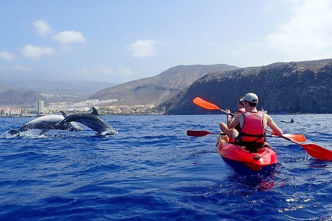 Tenerife: Turtle & Dolphin Kayak Tour with Snorkel & Wetsuit - The Paddle: Coastal Views and Wildlife Watching