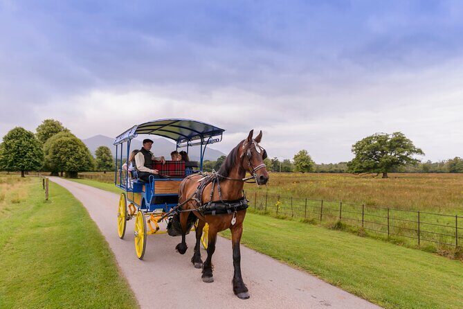 Killarney Jaunting Car Tour- Park to Castle - Meeting Point and Getting Started Without Stress