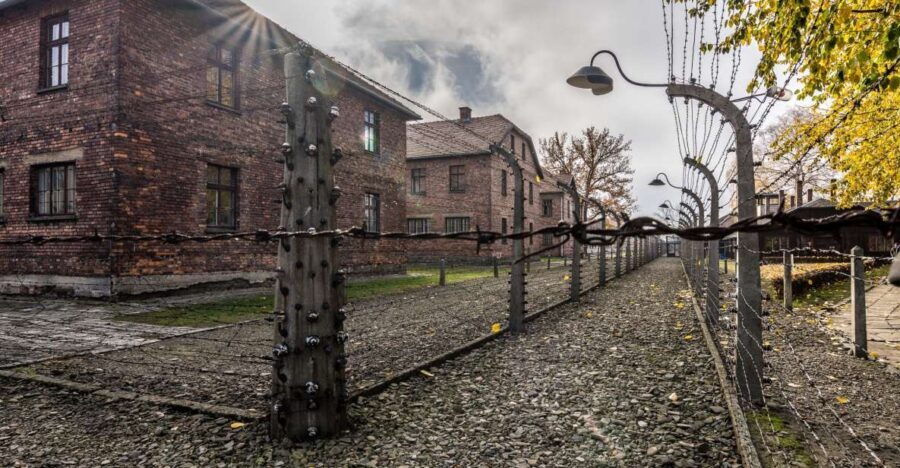Kraków: Auschwitz-Birkenau & Salt Mine Full-Day Guided Tour - Pickup, Transport, and Comfort: Air-Conditioned Minibus Plus Headsets