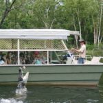 Kuranda & Hartley's Crocodile Adventures - The Experience: What We Think