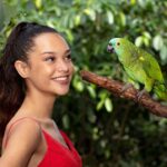 Kuranda Wildlife Experience: Koalas, Birds & Butterflies - The Practicalities: How the Tour Works