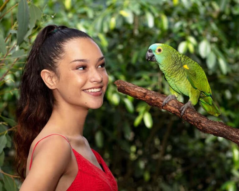 Kuranda Wildlife Experience: Koalas, Birds & Butterflies - The Practicalities: How the Tour Works