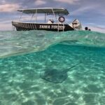 Lagoon Exploration and Snorkeling in Moorea - Analyzing the Value