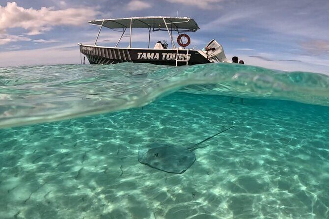 Lagoon Exploration and Snorkeling in Moorea - Analyzing the Value