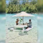 Lagoon Tour + lunch with your feet in the water on a Motu - Practical Details and Considerations