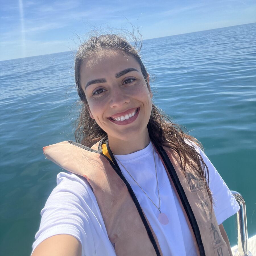 Lagos: Dolphin Watch Tour with Professional Marine Biologist - Where You Meet: BomDia Booking Office at Marina de Lagos