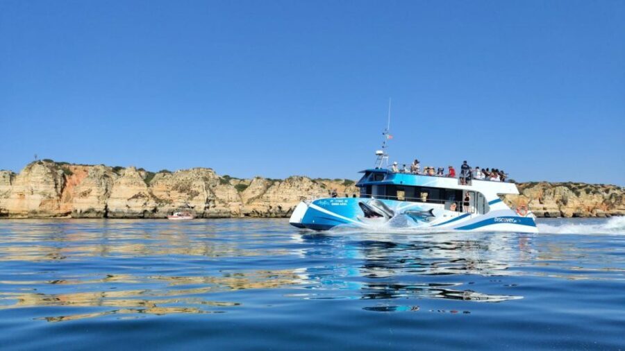 Lagos: Dolphins & Caves - Catamaran - Price and value: what $58 covers (and why it makes sense)