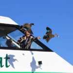 Lake Taupo: Maori Rock Carvings 10.30 AM 1.5-Hour Cruise - The Practicalities: Booking, Timing, and Accessibility