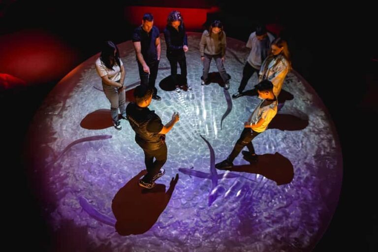 Lake Tekapo: Indoor Mori Cultural Astronomy Experience - What to Expect from the Experience