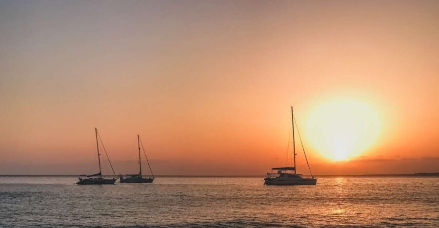 Lanzarote: Dolphin-Watching Sunset Cruise with Transfers - Price and what you actually get for about $60