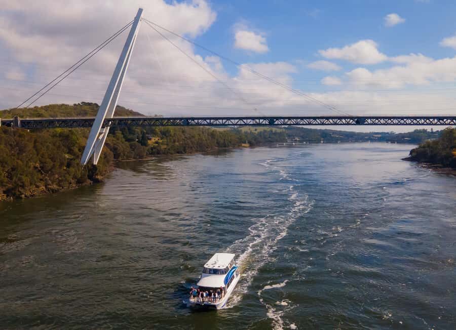Launceston: 4-Hour Batman Bridge Luncheon Cruise - Food and Drink