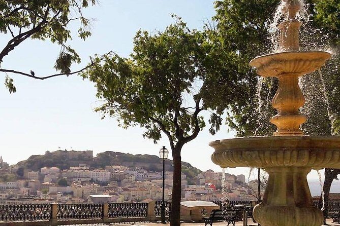 Lisbon Private And Customizable Half-Day Tour - The Drivers Make the Difference