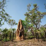Litchfield National Park Tour with Wetlands or Crocodile Cruise - Buley Rockhole and Waterhole Relaxation