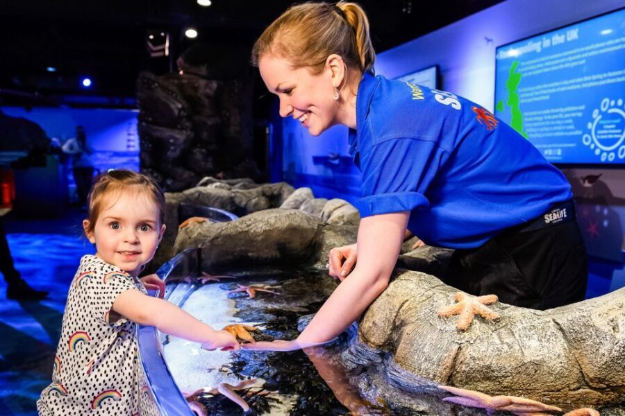 London: SEA LIFE Entry Ticket - Price and value: is $37 worth it?