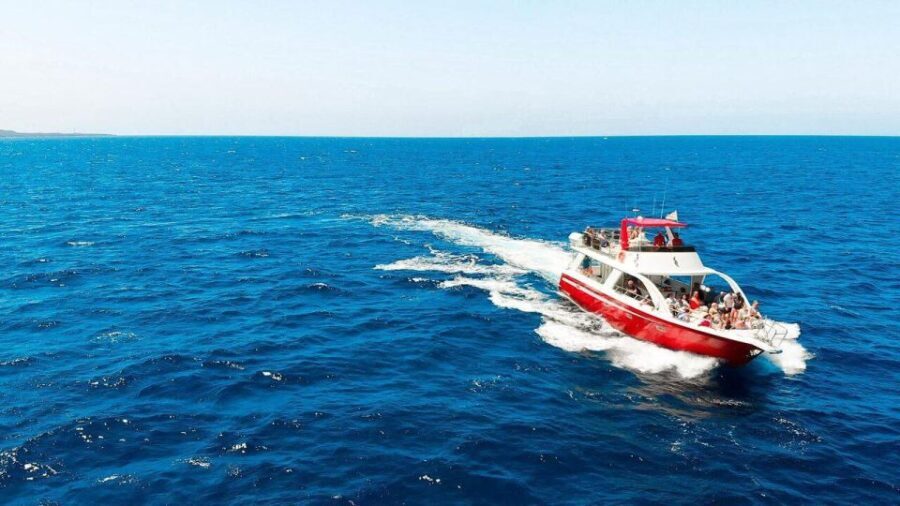 Los Cristianos: Eco Yacht Whale Watching Tour at Sunset - Meet the Travelin Lady: Why This Boat Is Different