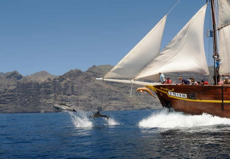 Los Gigantes: Dolphin & Whale Watching Tour on a Pirate Boat - Price and value: does $39 feel fair?