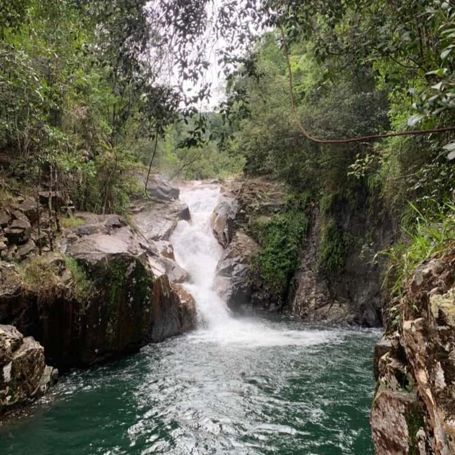 Mackay: Finch Hatton Gorge Hike, Swim & Platypus Adventure - Practicalities and Considerations