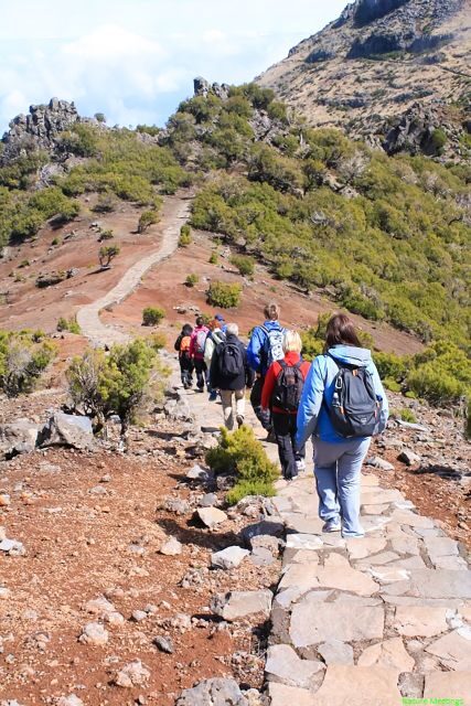 Madeira: Pico Arieiro to Pico Ruivo Hike - Price and what you actually get for around $54