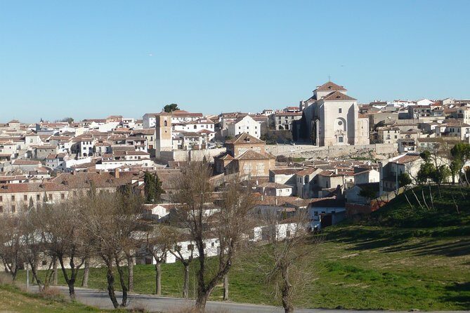 Madrid Countryside Wineries Guided Tour with Wine Tasting - What Travelers Are Actually Saying
