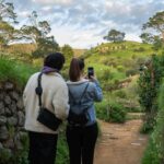 Magical Hobbiton: Small-Group Guided Tour from Auckland - What Youll See and Do on the Set