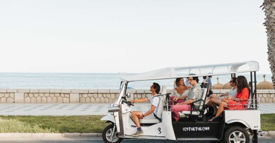 Malaga: Private City Tour by Eco Tuk Tuk - Meeting point at Calle Guillén Sotelo: don’t overthink it